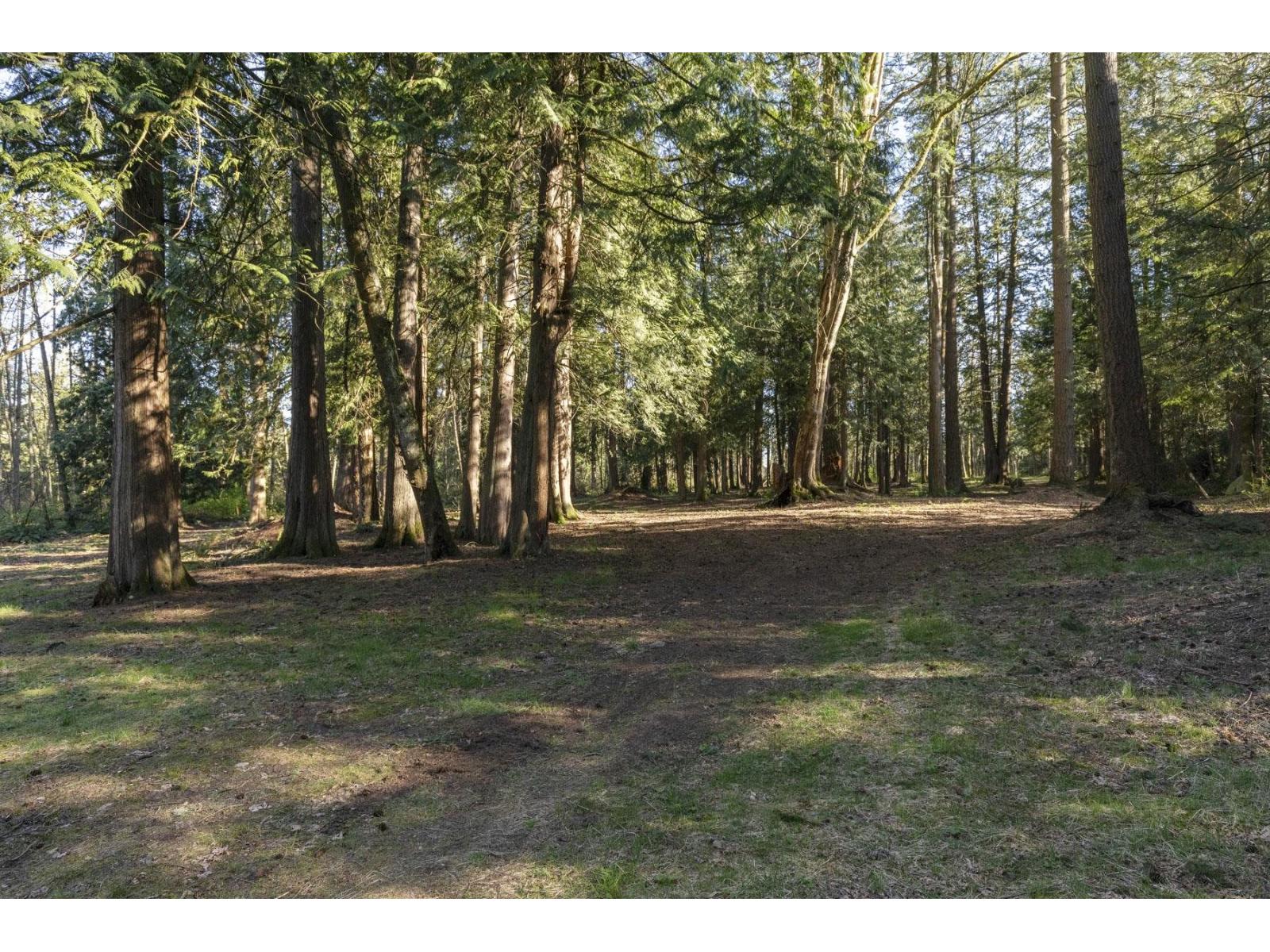 17438 28 Avenue, Surrey, British Columbia  V3Z 0E7 - Photo 39 - R3115233