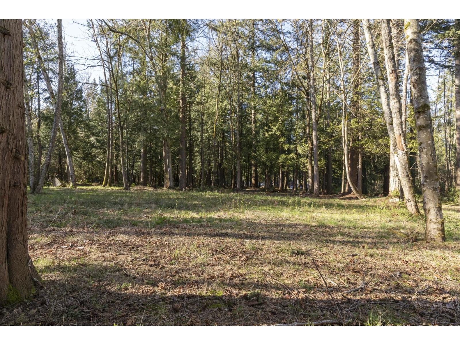 17438 28 Avenue, Surrey, British Columbia  V3Z 0E7 - Photo 40 - R3115233