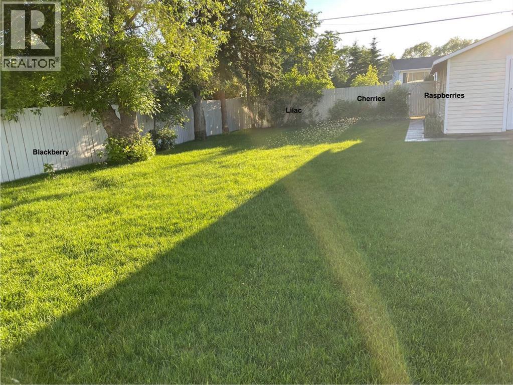 5017 49a Street, Sedgewick, Alberta  T0B 4C0 - Photo 37 - A2269329