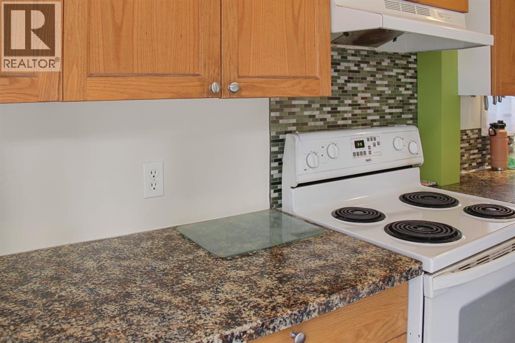 5017 49a Street, Sedgewick, Alberta  T0B 4C0 - Photo 16 - A2269329