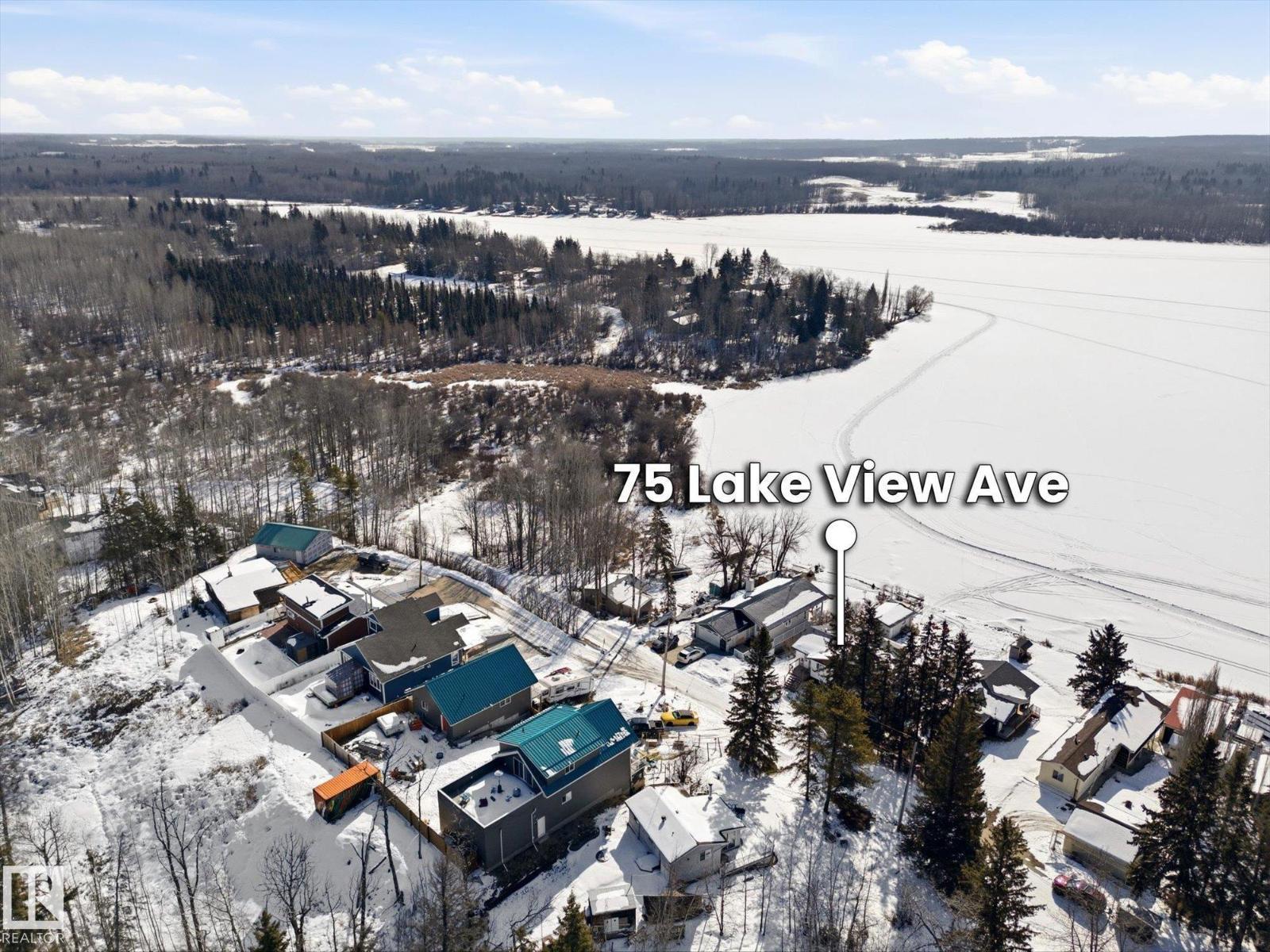 75 Lakeview Av South View, Rural Lac Ste. Anne County, Alberta  T0E 0L0 - Photo 7 - E4480593