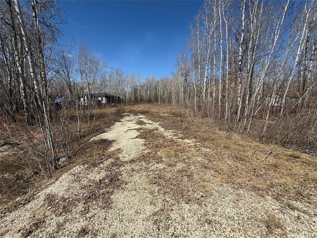 39 Fred Jeschke Drive, Lac Du Bonnet Rm, Manitoba  R0E 1A0 - Photo 3 - 202607952