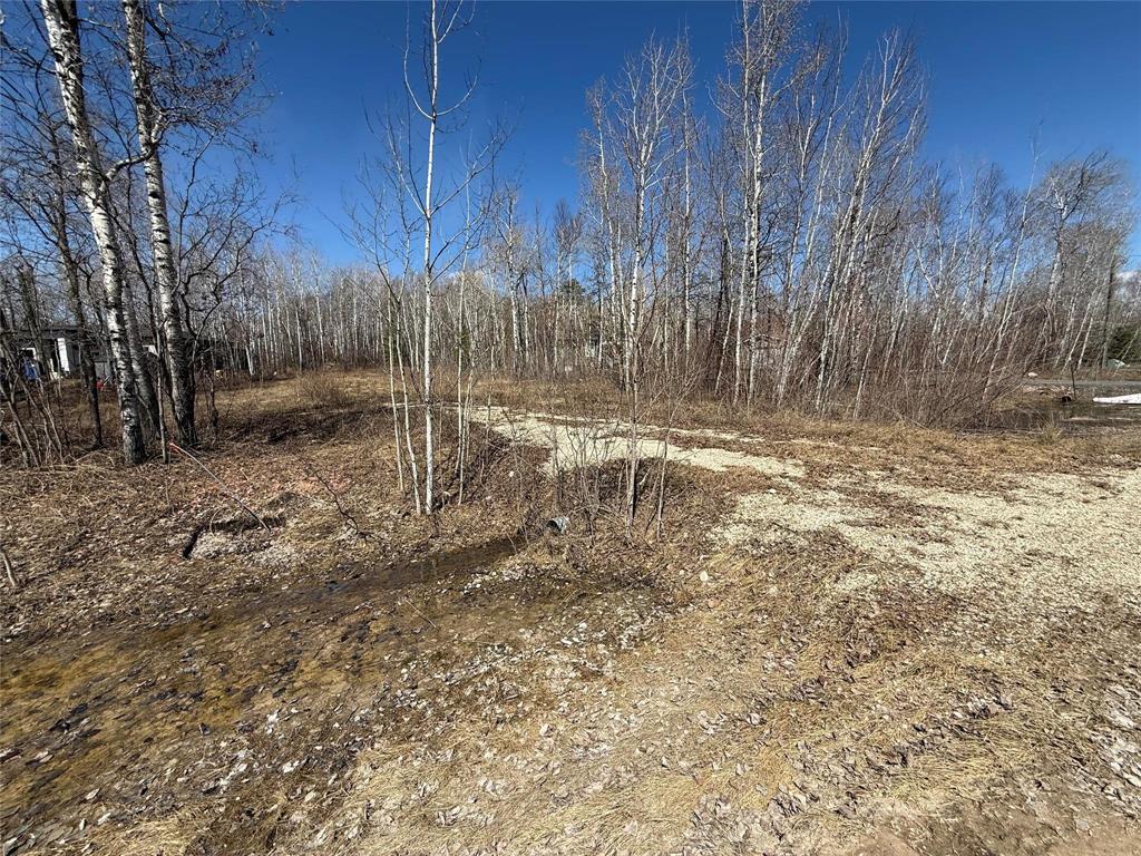 39 Fred Jeschke Drive, Lac Du Bonnet Rm, Manitoba  R0E 1A0 - Photo 1 - 202607952