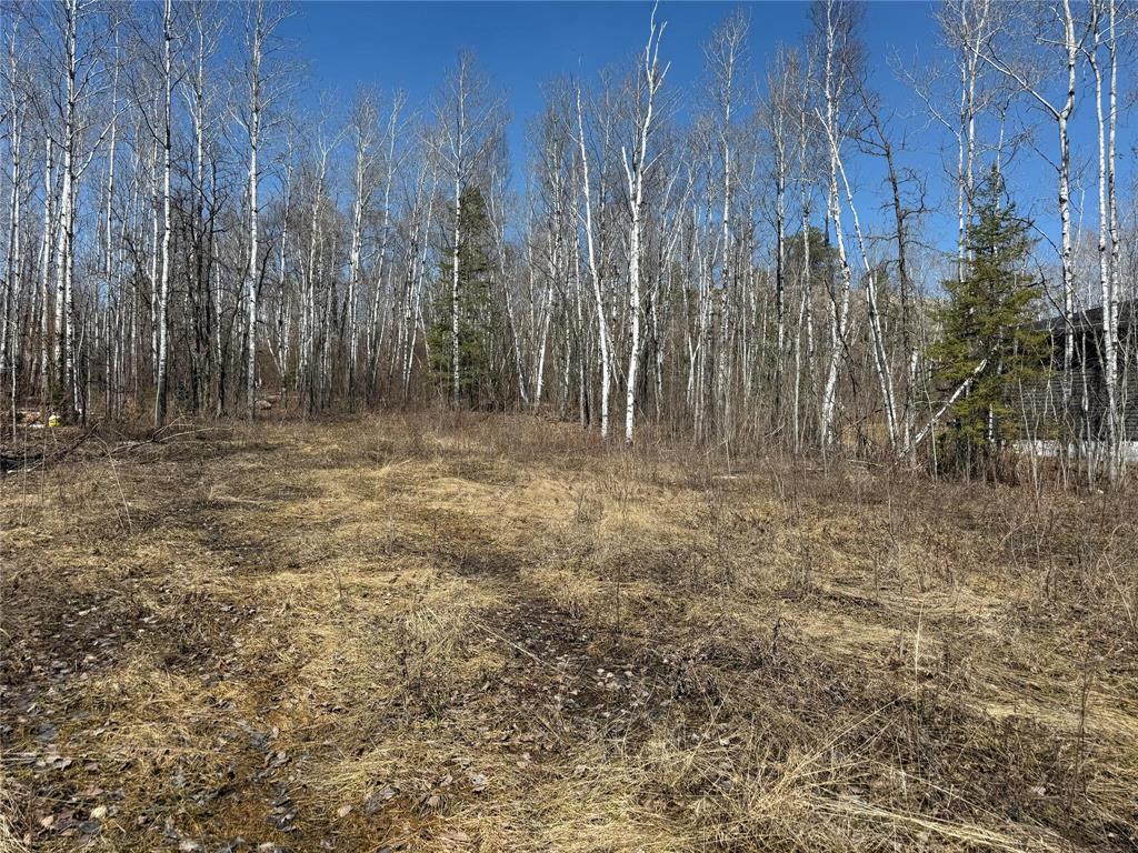 39 Fred Jeschke Drive, Lac Du Bonnet Rm, Manitoba  R0E 1A0 - Photo 0 - 202607952