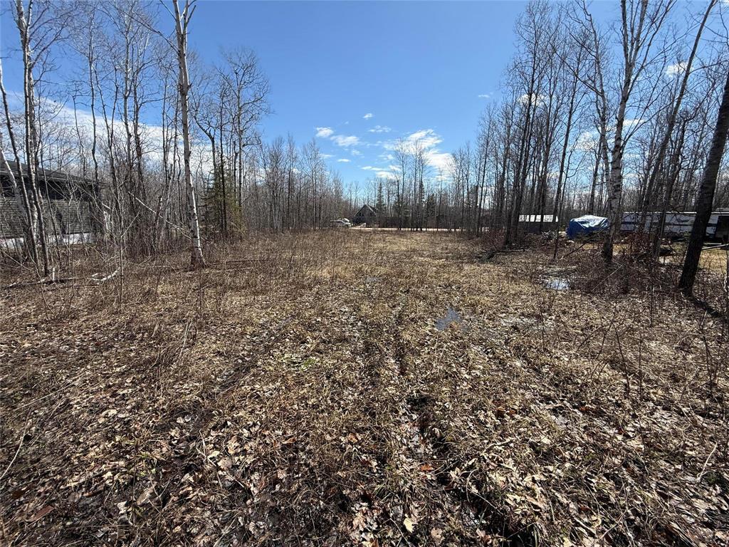 39 Fred Jeschke Drive, Lac Du Bonnet Rm, Manitoba  R0E 1A0 - Photo 4 - 202607952