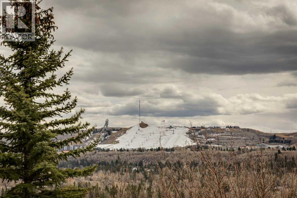 58 Scimitar View Nw, Calgary, Alberta  T3L 2B5 - Photo 38 - A2299910