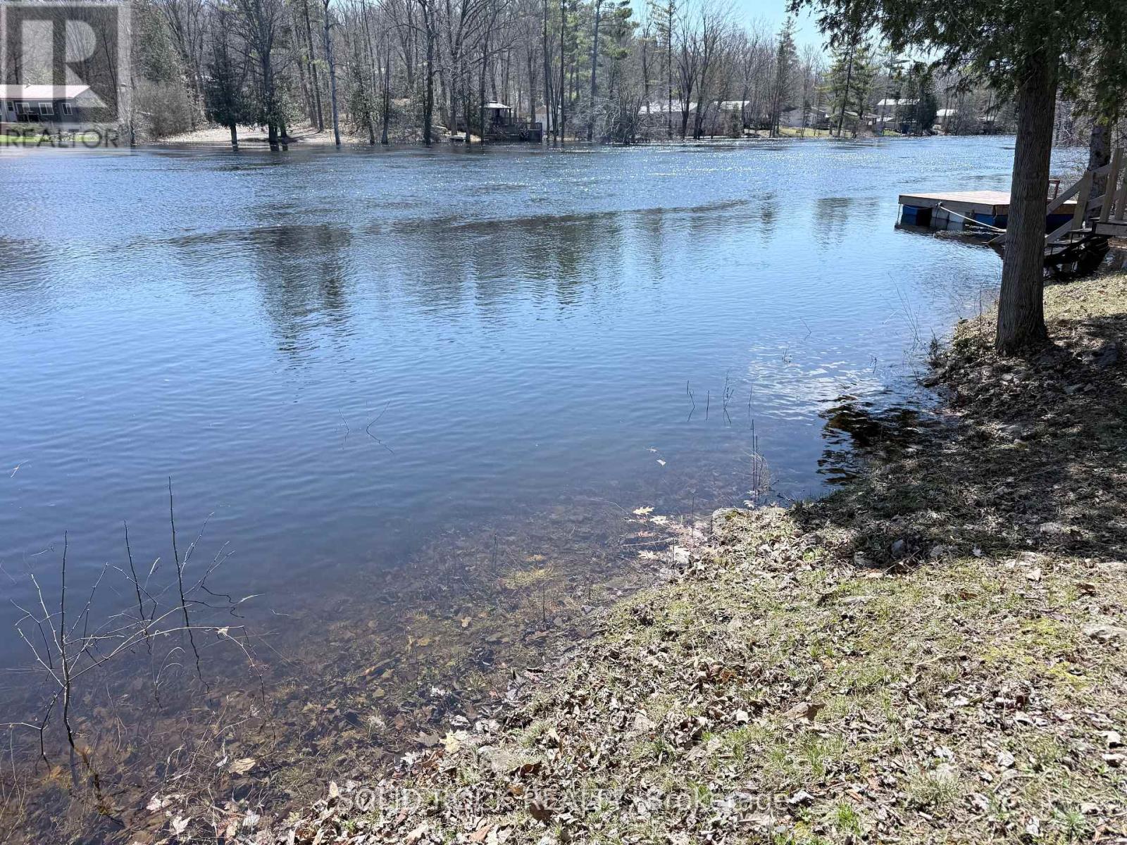 359 Rego Road, Trent Hills, Ontario  K0L 1L0 - Photo 7 - X13019804