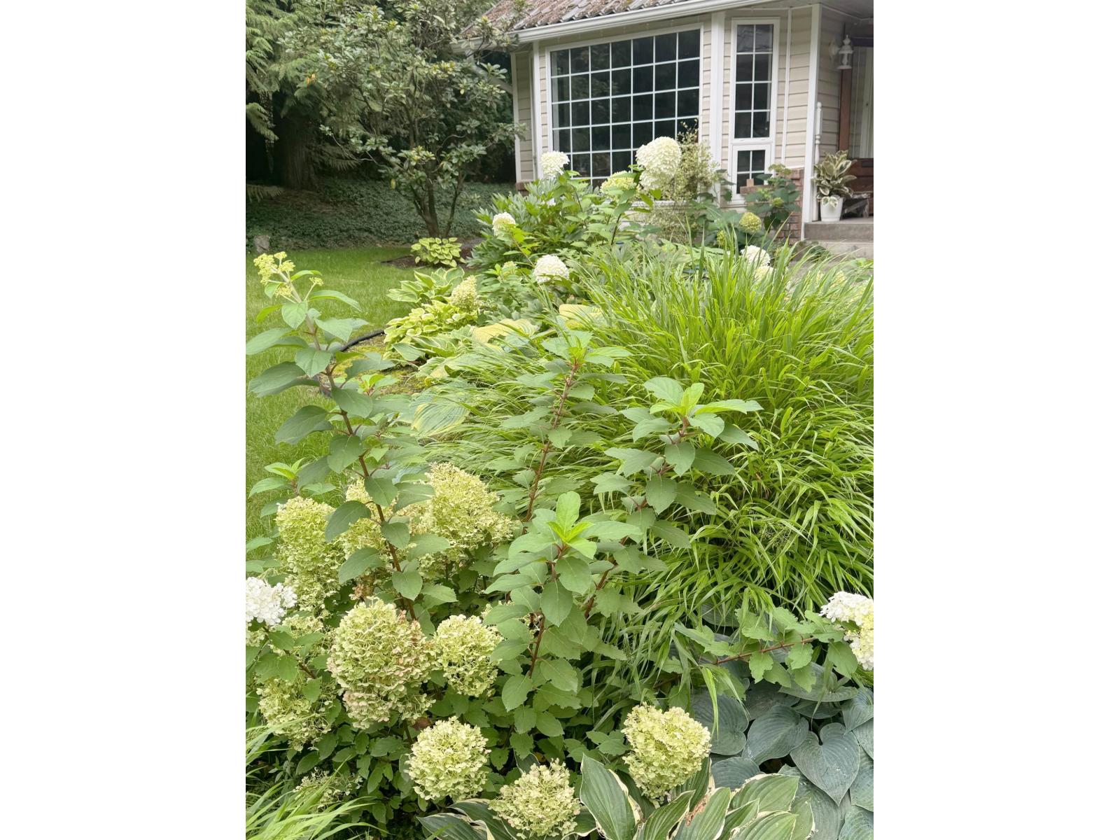 52394 Yale Road, Rosedale, Rosedale, British Columbia  V0X 1X1 - Photo 7 - R3115321