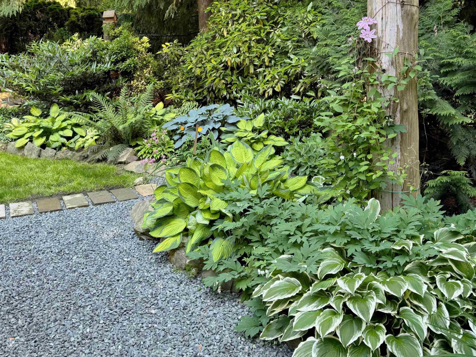 52394 Yale Road, Rosedale, Rosedale, British Columbia  V0X 1X1 - Photo 9 - R3115321