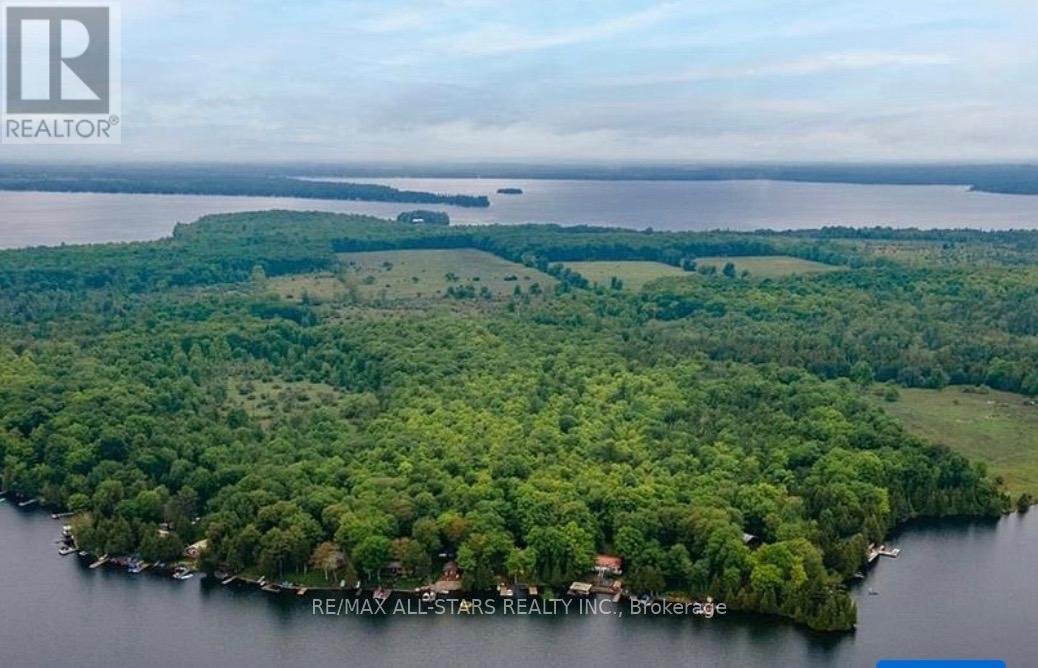 686 Grand Island Road, Kawartha Lakes, Ontario  K6H 5R7 - Photo 39 - X13042482