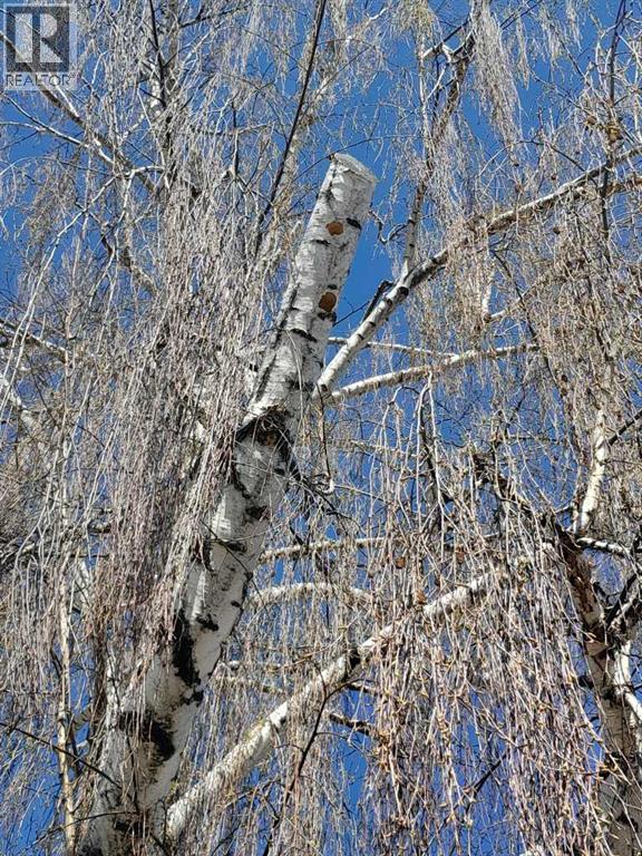 5934 41 Streetcrescent, Red Deer, Alberta  T4N 1B7 - Photo 28 - A2297336