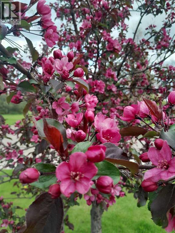 5934 41 Streetcrescent, Red Deer, Alberta  T4N 1B7 - Photo 32 - A2297336