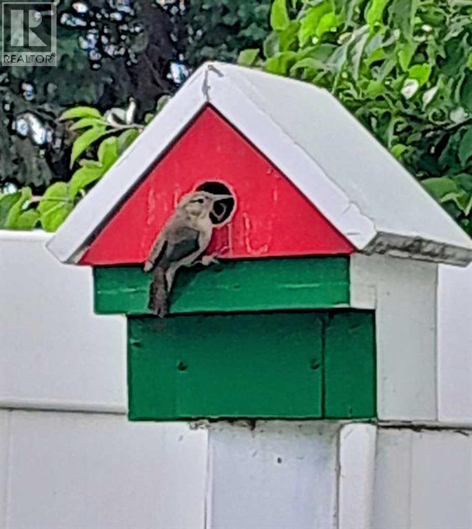 5934 41 Streetcrescent, Red Deer, Alberta  T4N 1B7 - Photo 29 - A2297336