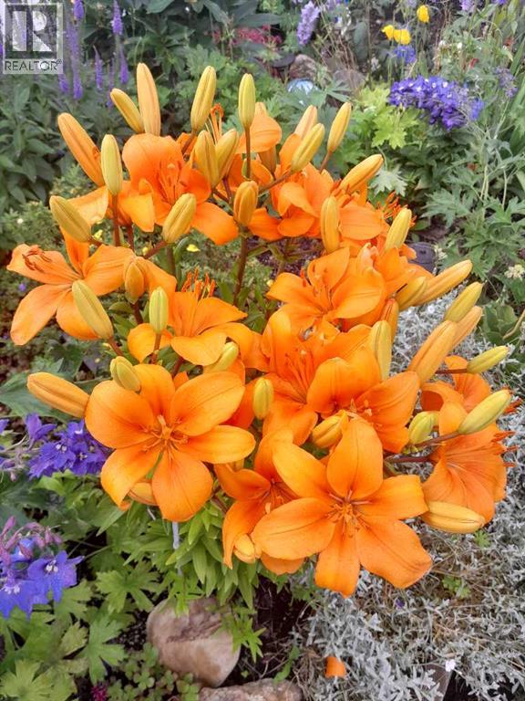 5934 41 Streetcrescent, Red Deer, Alberta  T4N 1B7 - Photo 31 - A2297336