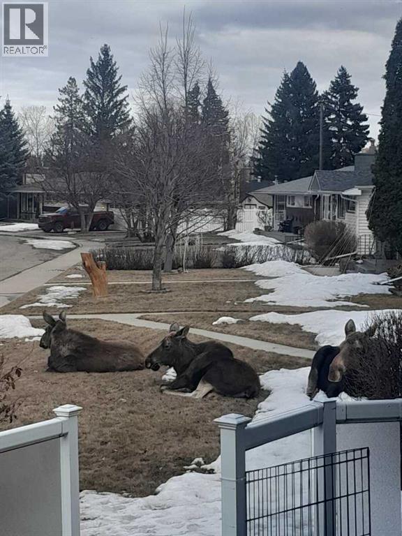 5934 41 Streetcrescent, Red Deer, Alberta  T4N 1B7 - Photo 33 - A2297336