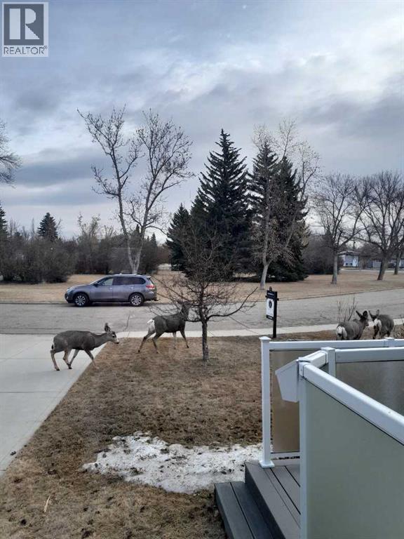 5934 41 Streetcrescent, Red Deer, Alberta  T4N 1B7 - Photo 34 - A2297336