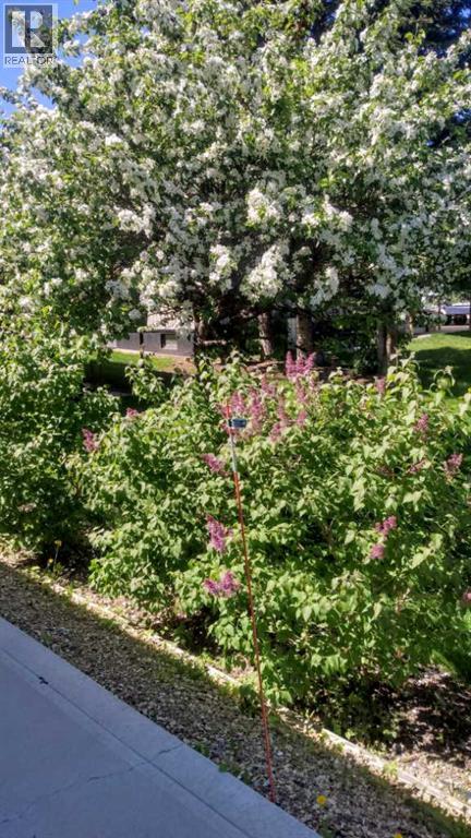 5228 50b Avenue, Sylvan Lake, Alberta  T4S 1E4 - Photo 13 - A2302608