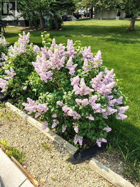 5228 50b Avenue, Sylvan Lake, Alberta  T4S 1E4 - Photo 14 - A2302608