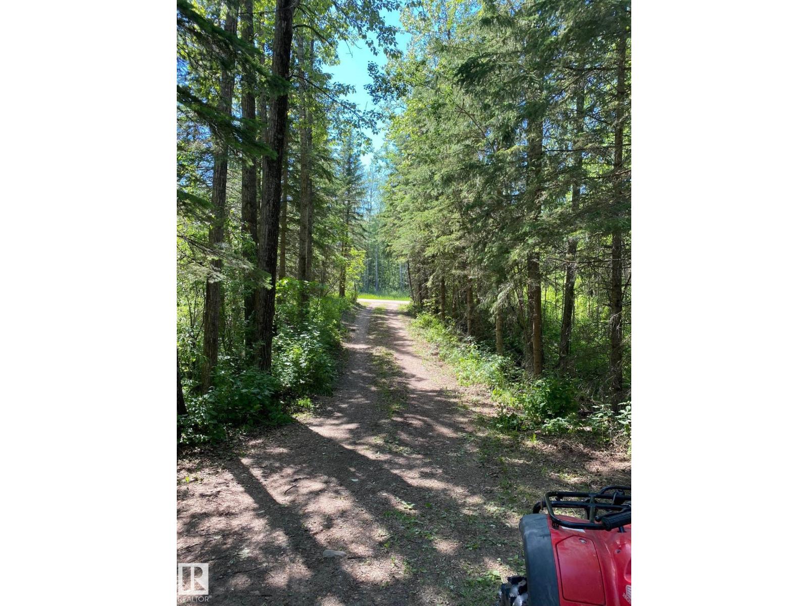 650031 Range Road 185, Rural Athabasca County, Alberta  T0A 0M0 - Photo 8 - E4484158