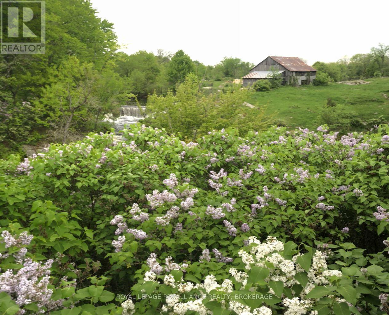 6014 Main Street, Frontenac, Ontario  K0H 2W0 - Photo 47 - X12732448