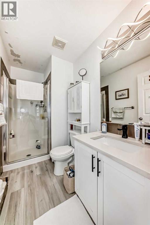 15 Spring Meadows Bay, Okotoks, Alberta  T1S 2G8 - Photo 37 - A2303115