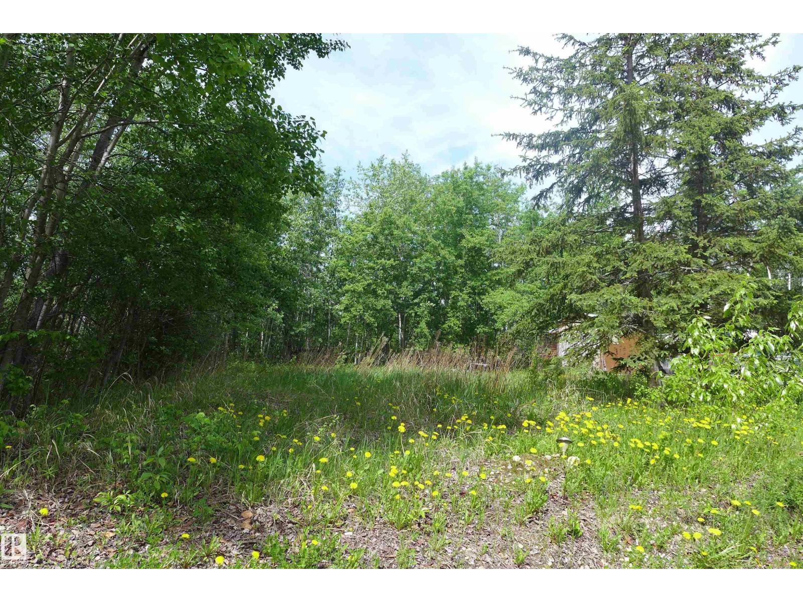 5430 Hghway 16, Rural Parkland County, Alberta  T0E 0W0 - Photo 7 - E4484029