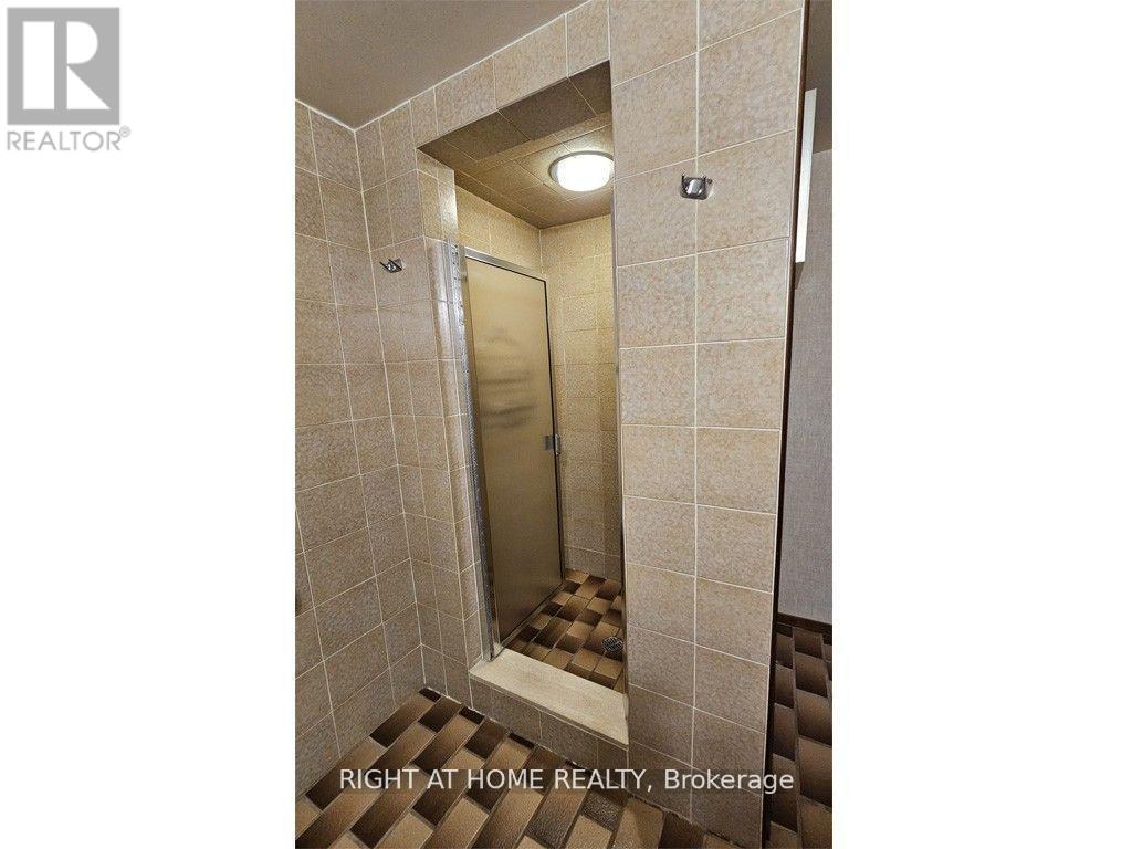 Lower - 58 Caines Avenue, Toronto, Ontario  M2R 2L3 - Photo 10 - C13043754