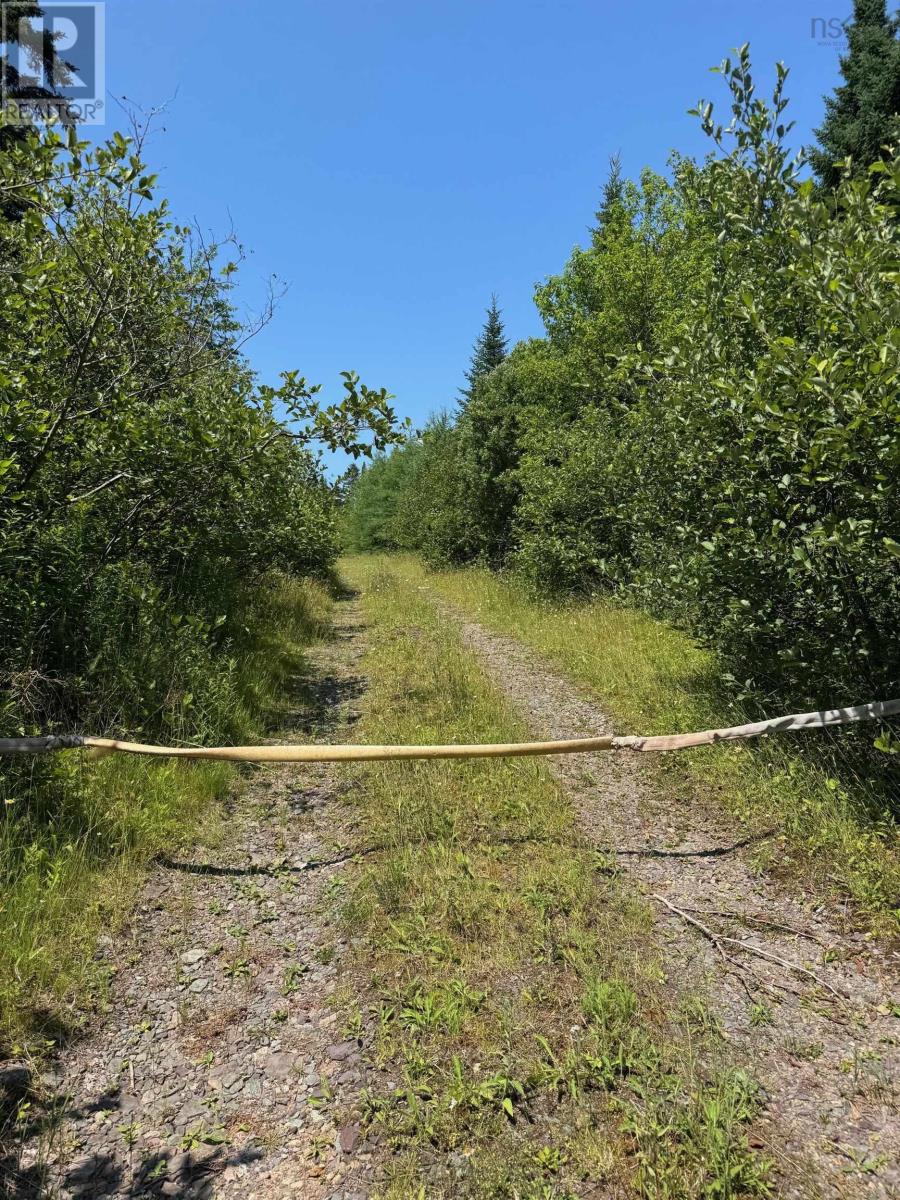 West Side Loch Lomond Road, Loch Lomond West, Nova Scotia  B2E 1C3 - Photo 11 - 202519024