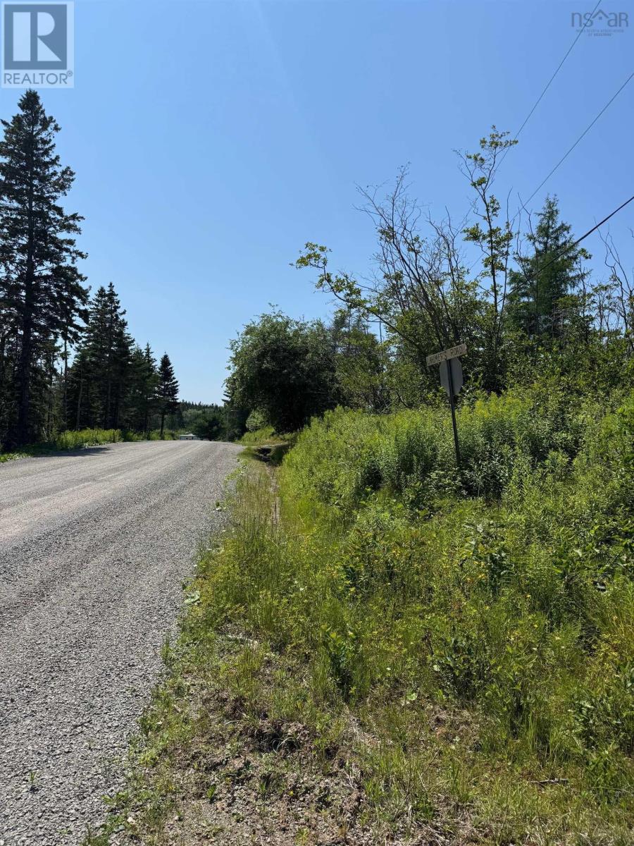 West Side Loch Lomond Road, Loch Lomond West, Nova Scotia  B2E 1C3 - Photo 12 - 202519024