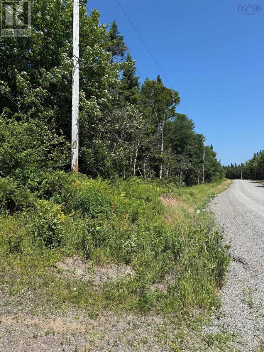 West Side Loch Lomond Road, Loch Lomond West, Nova Scotia  B2E 1C3 - Photo 15 - 202519024