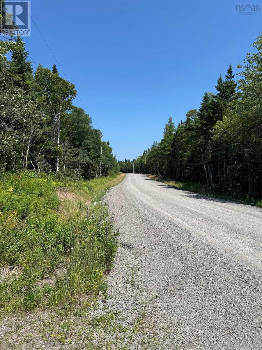 West Side Loch Lomond Road, Loch Lomond West, Nova Scotia  B2E 1C3 - Photo 13 - 202519024