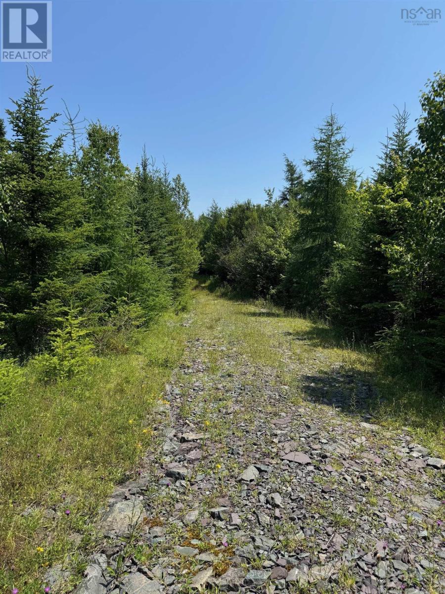 West Side Loch Lomond Road, Loch Lomond West, Nova Scotia  B2E 1C3 - Photo 14 - 202519024