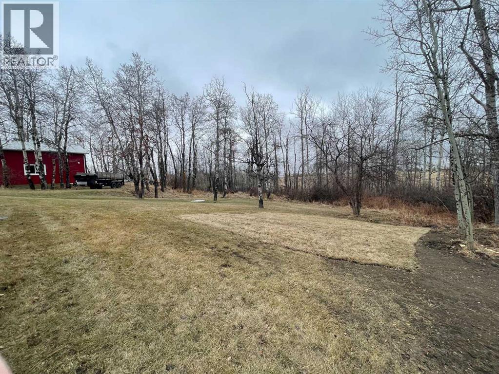 501 23 Street, Didsbury, Alberta  T0M 0W0 - Photo 47 - A2301701