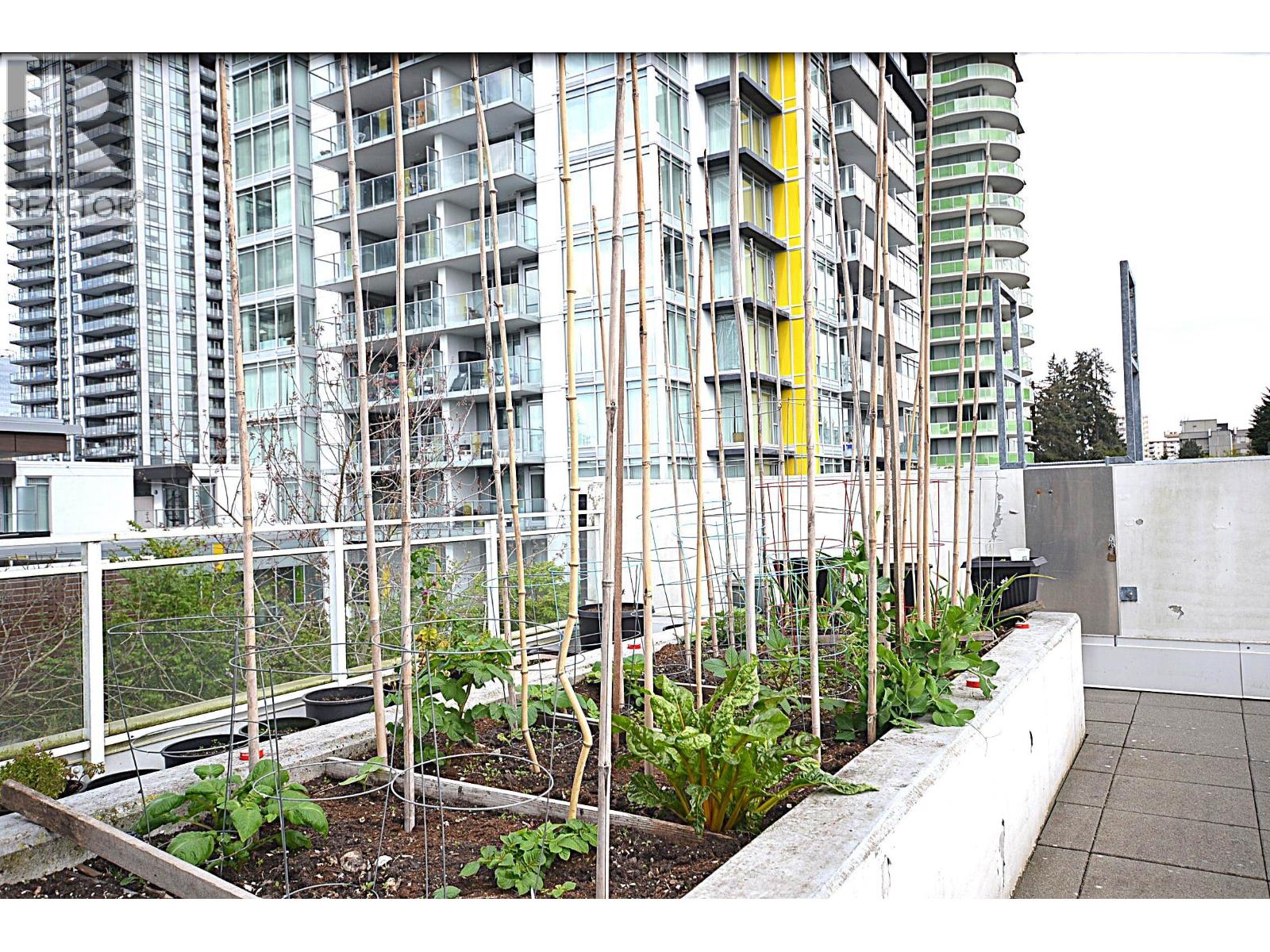 1001 5051 Imperial Street, Burnaby, British Columbia  V5J 0J3 - Photo 23 - R3112534