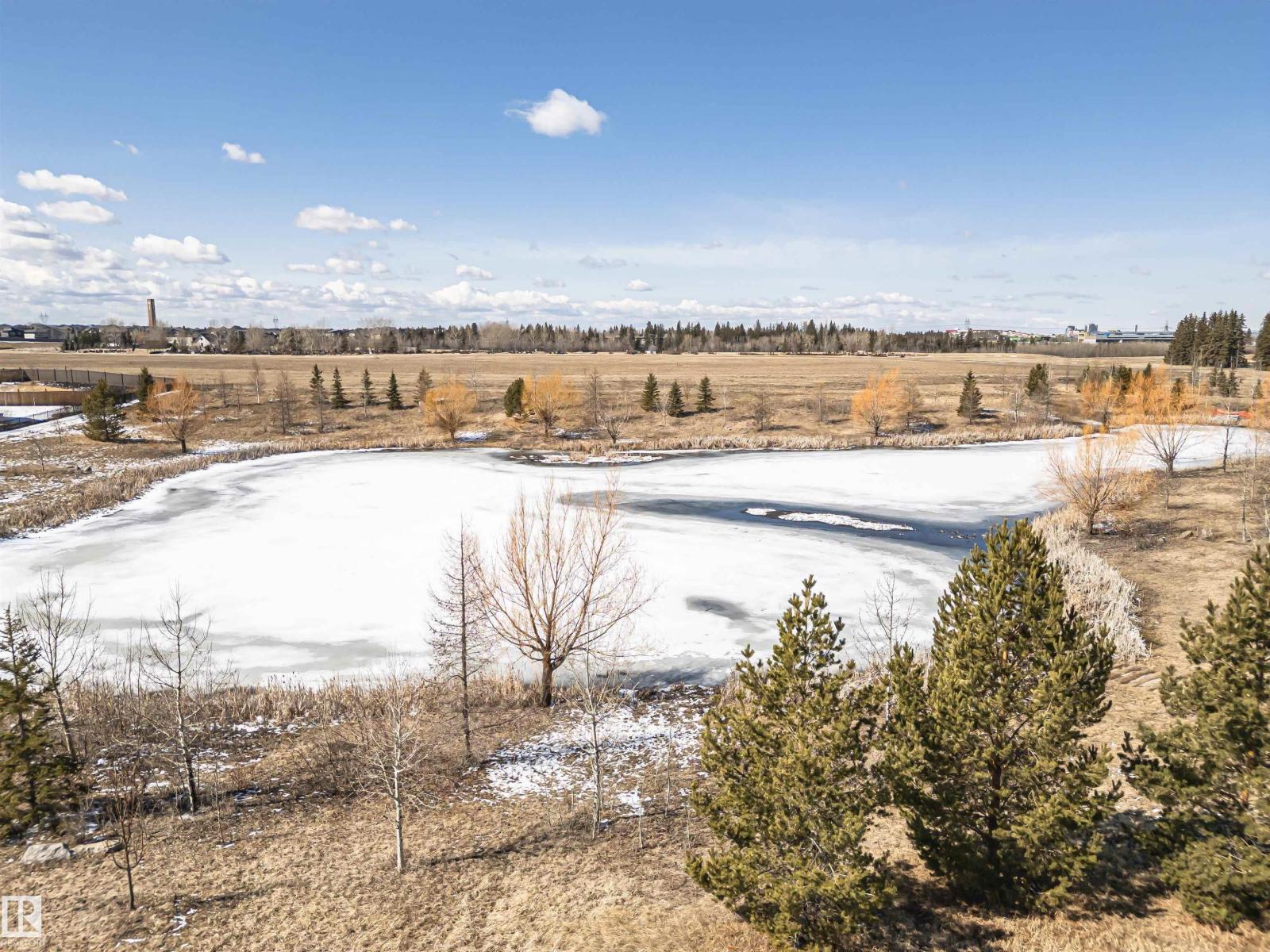 2051 Graydon Hill Cr SW, Edmonton, Alberta  T6W 4C5 - Photo 49 - E4484225