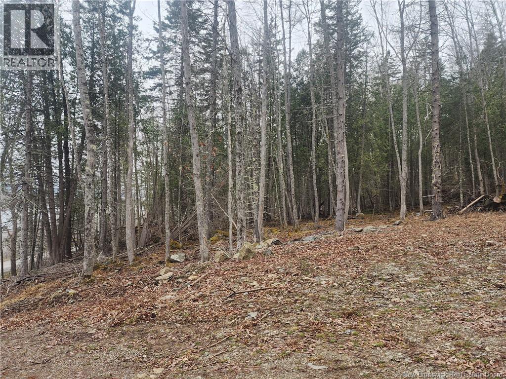 Lot A-4 Pickwauket, Hampton, New Brunswick  E5N 6H5 - Photo 22 - NB137855