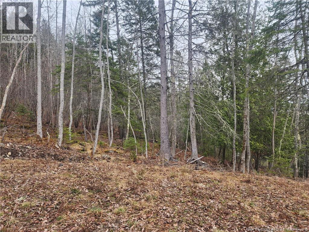 Lot A-4 Pickwauket, Hampton, New Brunswick  E5N 6H5 - Photo 26 - NB137855