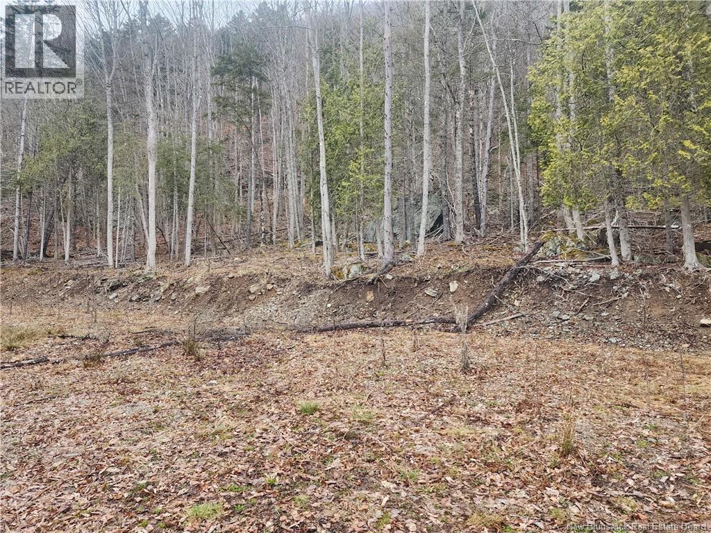Lot A-4 Pickwauket, Hampton, New Brunswick  E5N 6H5 - Photo 24 - NB137855