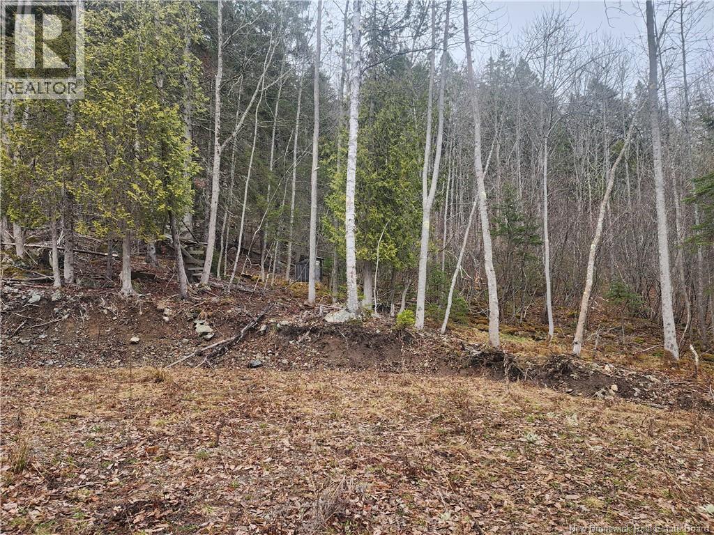 Lot A-4 Pickwauket, Hampton, New Brunswick  E5N 6H5 - Photo 25 - NB137855