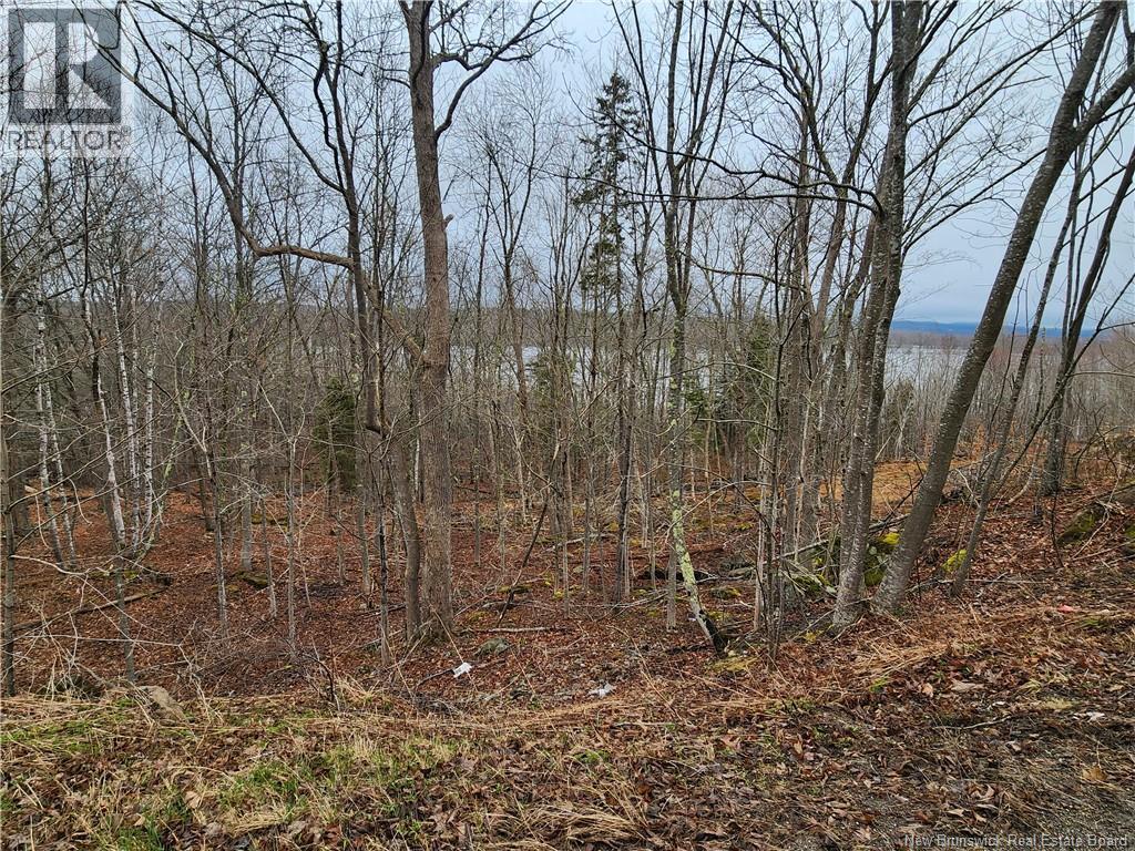 Lot A-4 Pickwauket, Hampton, New Brunswick  E5N 6H5 - Photo 17 - NB137855