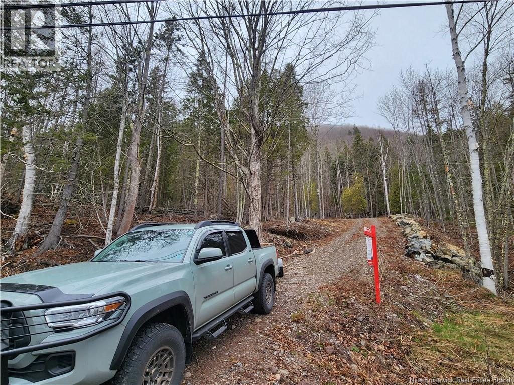 Lot A-4 Pickwauket, Hampton, New Brunswick  E5N 6H5 - Photo 14 - NB137855