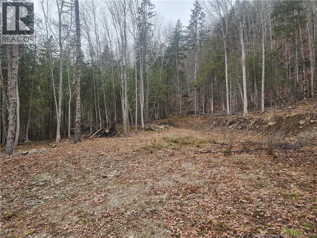 Lot A-4 Pickwauket, Hampton, New Brunswick  E5N 6H5 - Photo 23 - NB137855