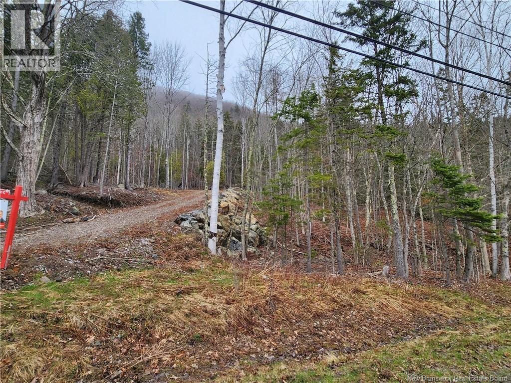 Lot A-4 Pickwauket, Hampton, New Brunswick  E5N 6H5 - Photo 16 - NB137855