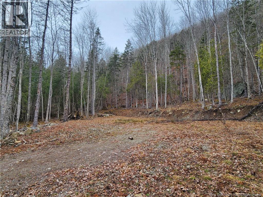 Lot A-4 Pickwauket, Hampton, New Brunswick  E5N 6H5 - Photo 27 - NB137855