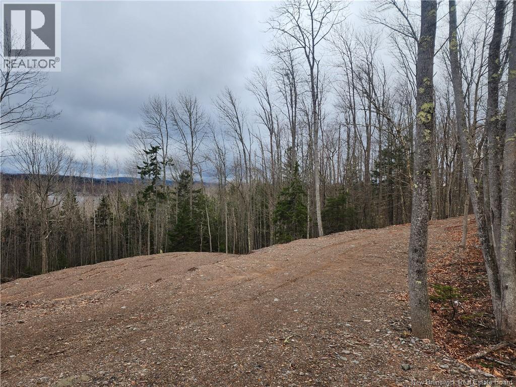 Lot A-1 Pickwauket, Hampton, New Brunswick  E5N 6H5 - Photo 16 - NB137831