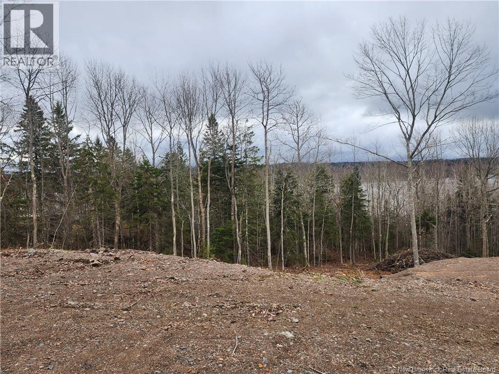 Lot A-1 Pickwauket, Hampton, New Brunswick  E5N 6H5 - Photo 14 - NB137831
