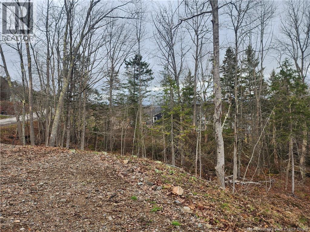 Lot A-1 Pickwauket, Hampton, New Brunswick  E5N 6H5 - Photo 17 - NB137831