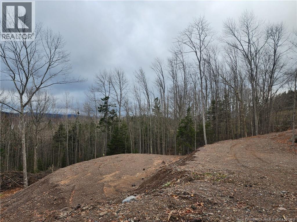 Lot A-1 Pickwauket, Hampton, New Brunswick  E5N 6H5 - Photo 20 - NB137831