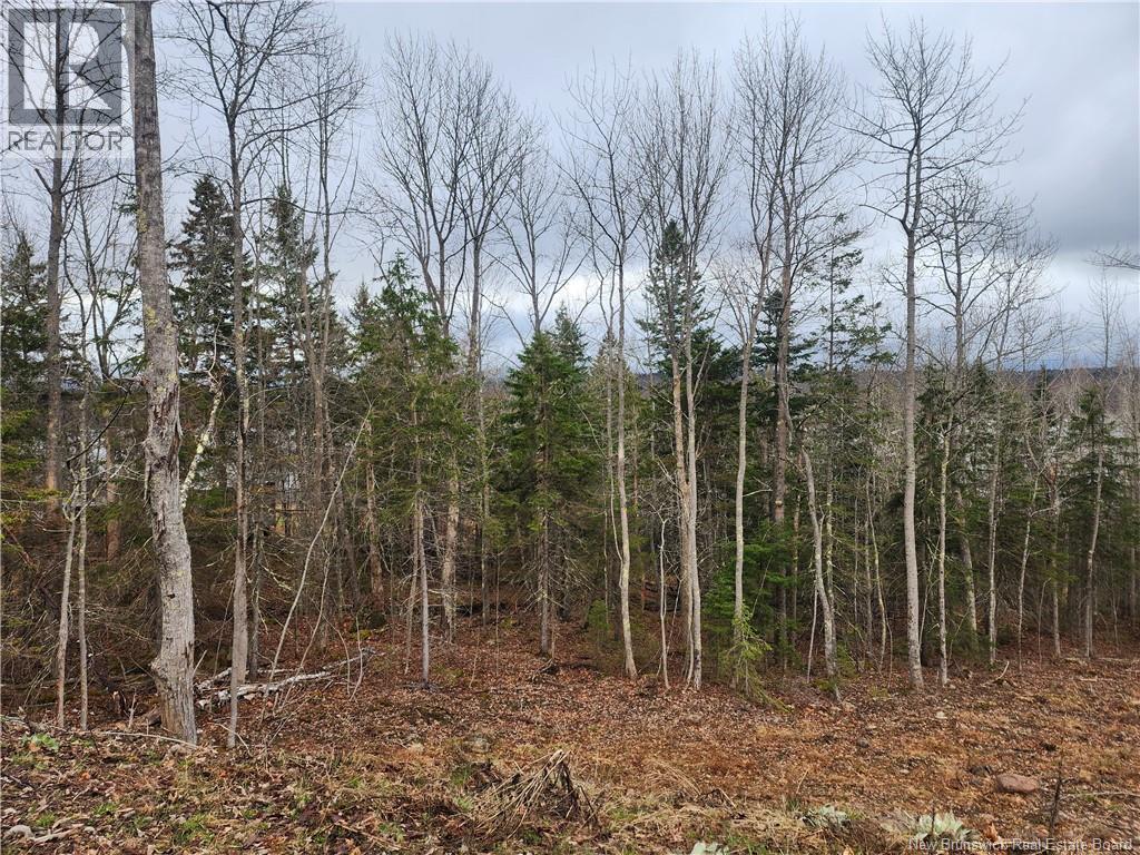 Lot A-1 Pickwauket, Hampton, New Brunswick  E5N 6H5 - Photo 18 - NB137831