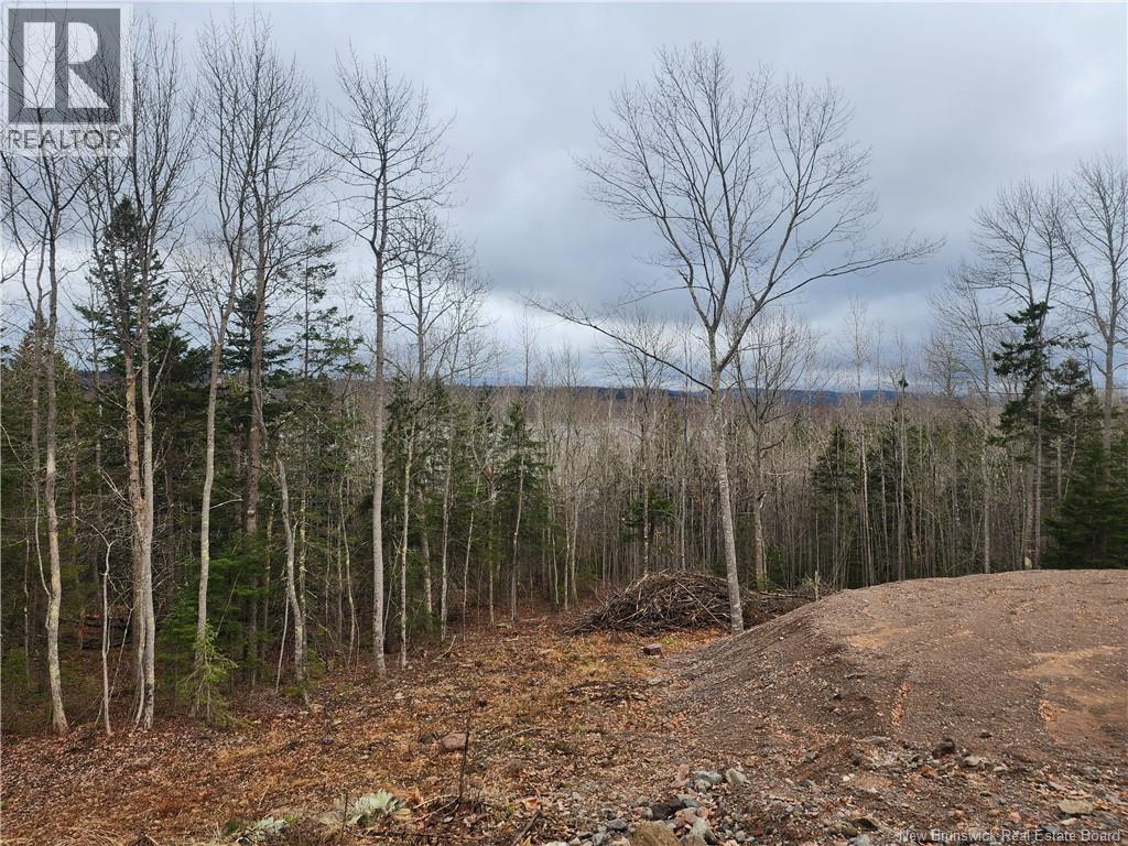 Lot A-1 Pickwauket, Hampton, New Brunswick  E5N 6H5 - Photo 19 - NB137831